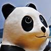 1600 Pandas in Hong Kong Photo Collection